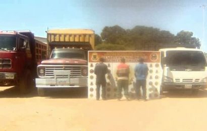 Detenidas tres personas por la GNB por contrabando de madera