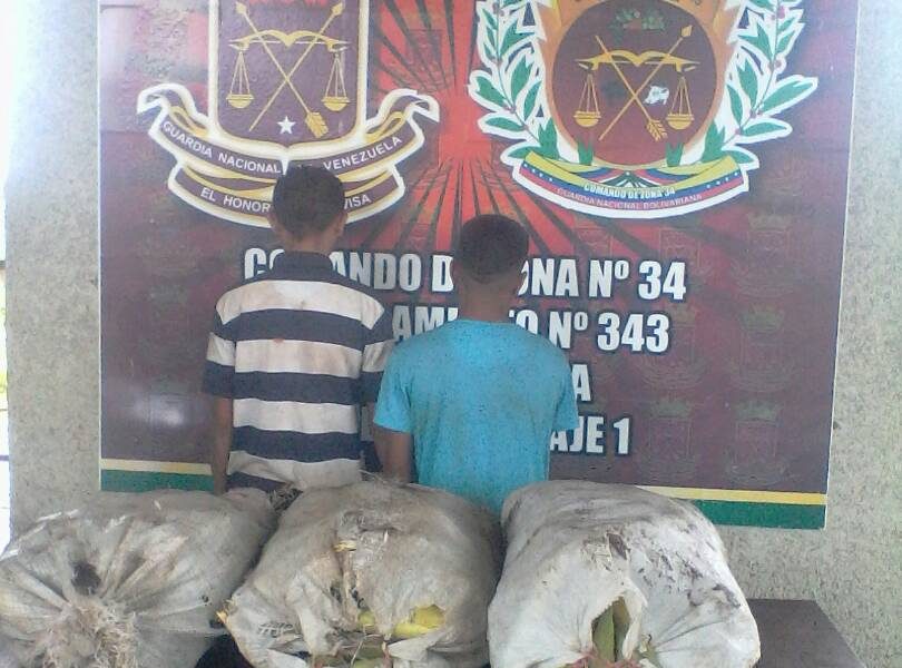 Cayeron dos con sacos de maíz Robado. Cayeron dos con sacos de maíz Robado.