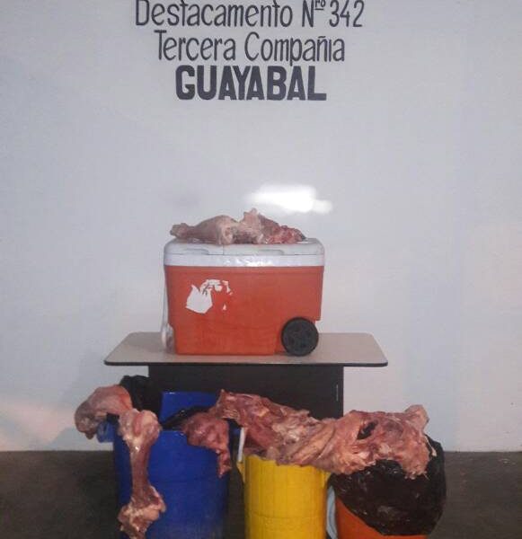 GNB confiscó 90 kilos de carne en Guayabal GNB confiscó 90 kilos de carne en Guayabal