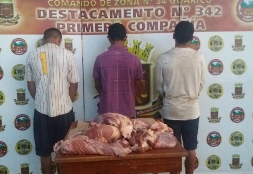 Atrapados delincuentes de carne de res por funcionarios del Destacamento Atrapados delincuentes de carne de res por funcionarios del Destacamento