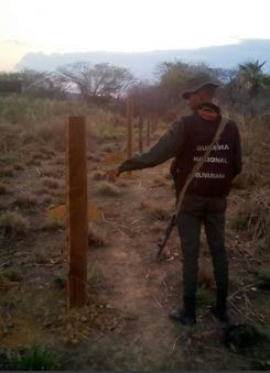 Destacamento 341 detuvo cortes y aprovechamiento de madera Destacamento 341 detuvo cortes y aprovechamiento de madera