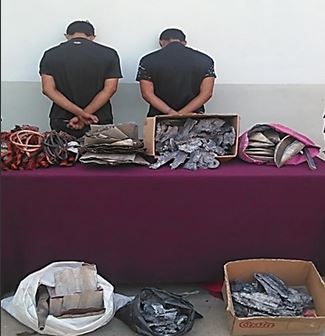 DESUR arrestó a sujetos por contrabando de 37 kilos de cobre DESUR arrestó a sujetos por contrabando de 37 kilos de cobre