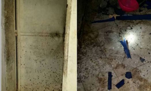 Sedes de PoliBolívar fueron atacadas por delincuentes Sedes de PoliBolívar fueron atacadas por delincuentes